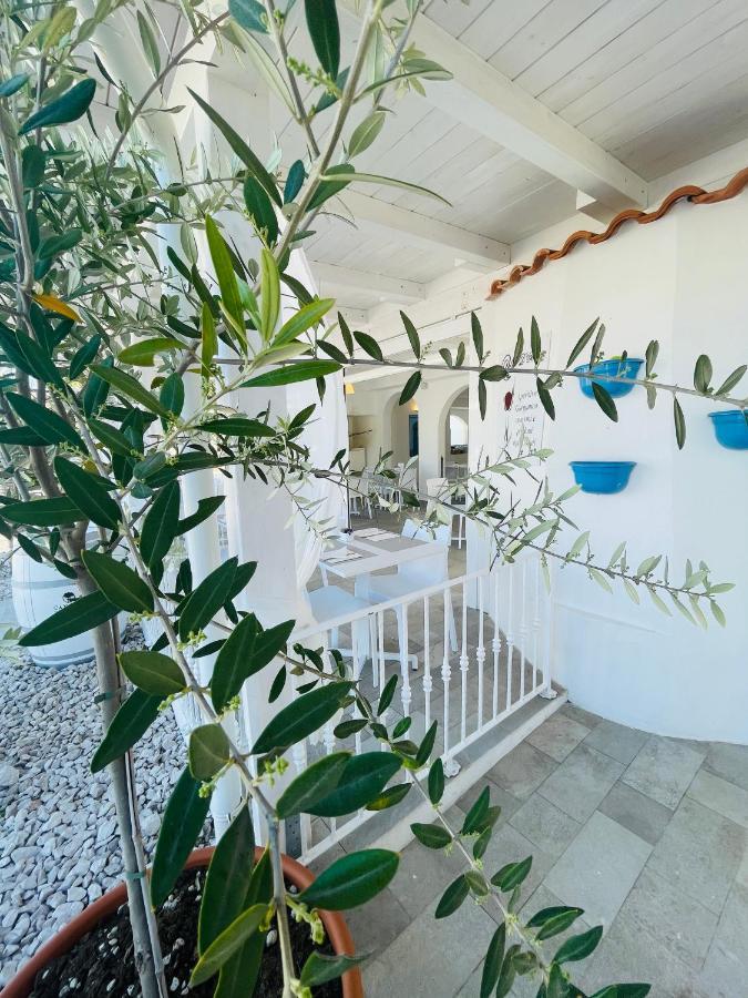 B&B Villa D'Amato Peschici Exteriér fotografie